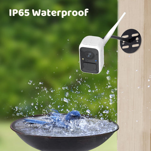 1080p video clarity from NETVUE Birdfy backyard camera
