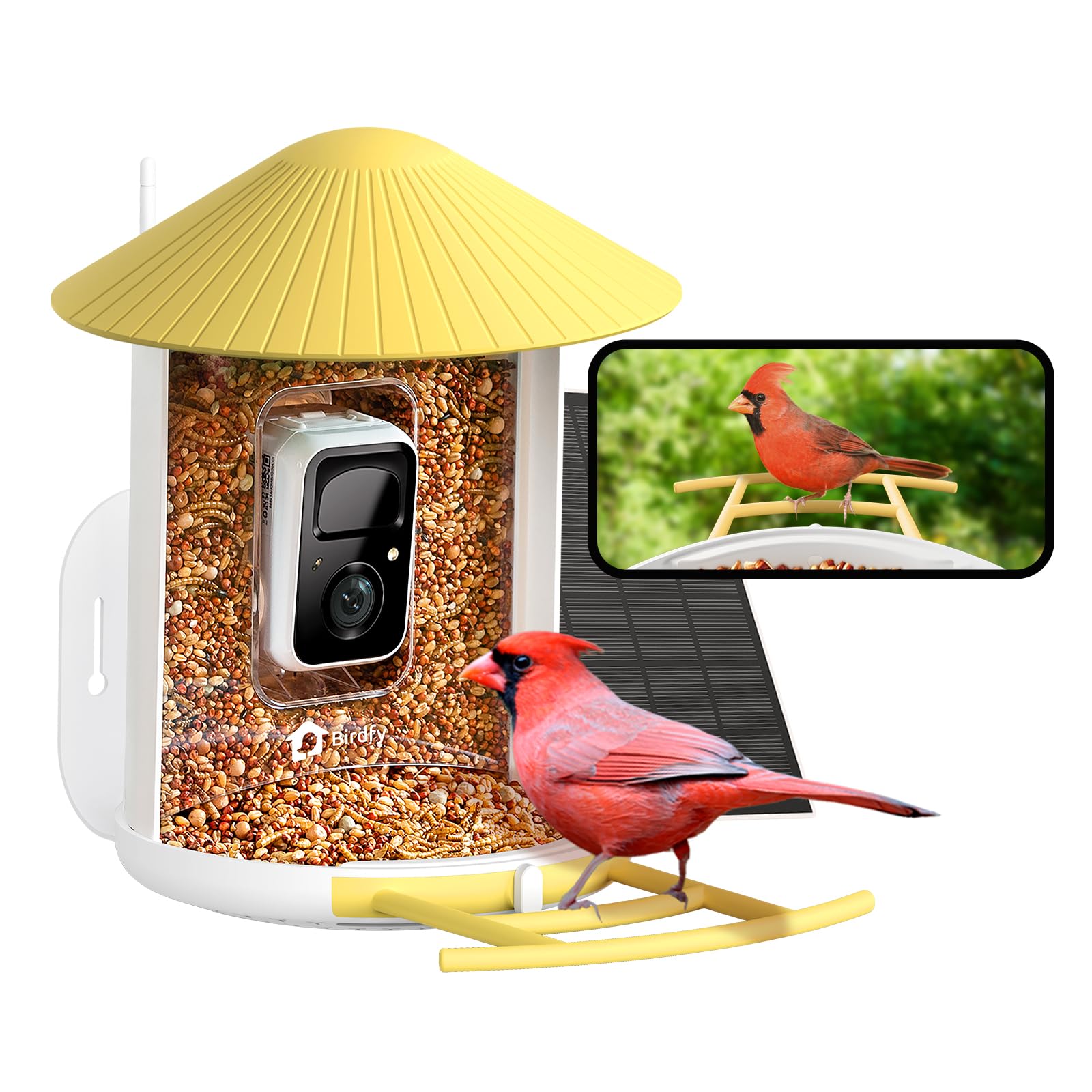 NETVUE Birdfy 2K AI camera captures visiting birds for identification.