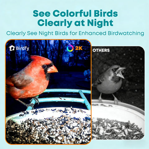 NETVUE by Birdfy auto-capture and notifications keep you updated.