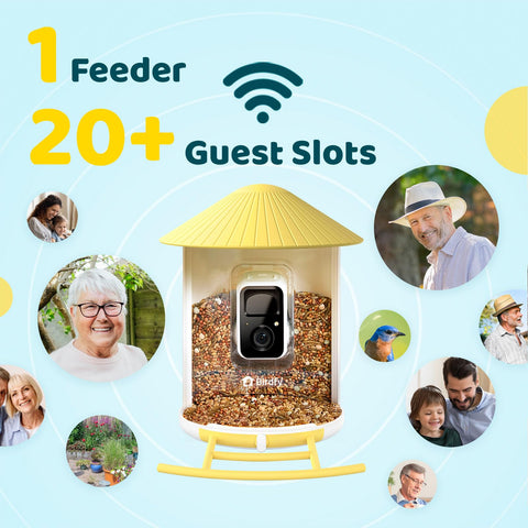 NETVUE Birdfy auto-capture records every bird visit automatically.