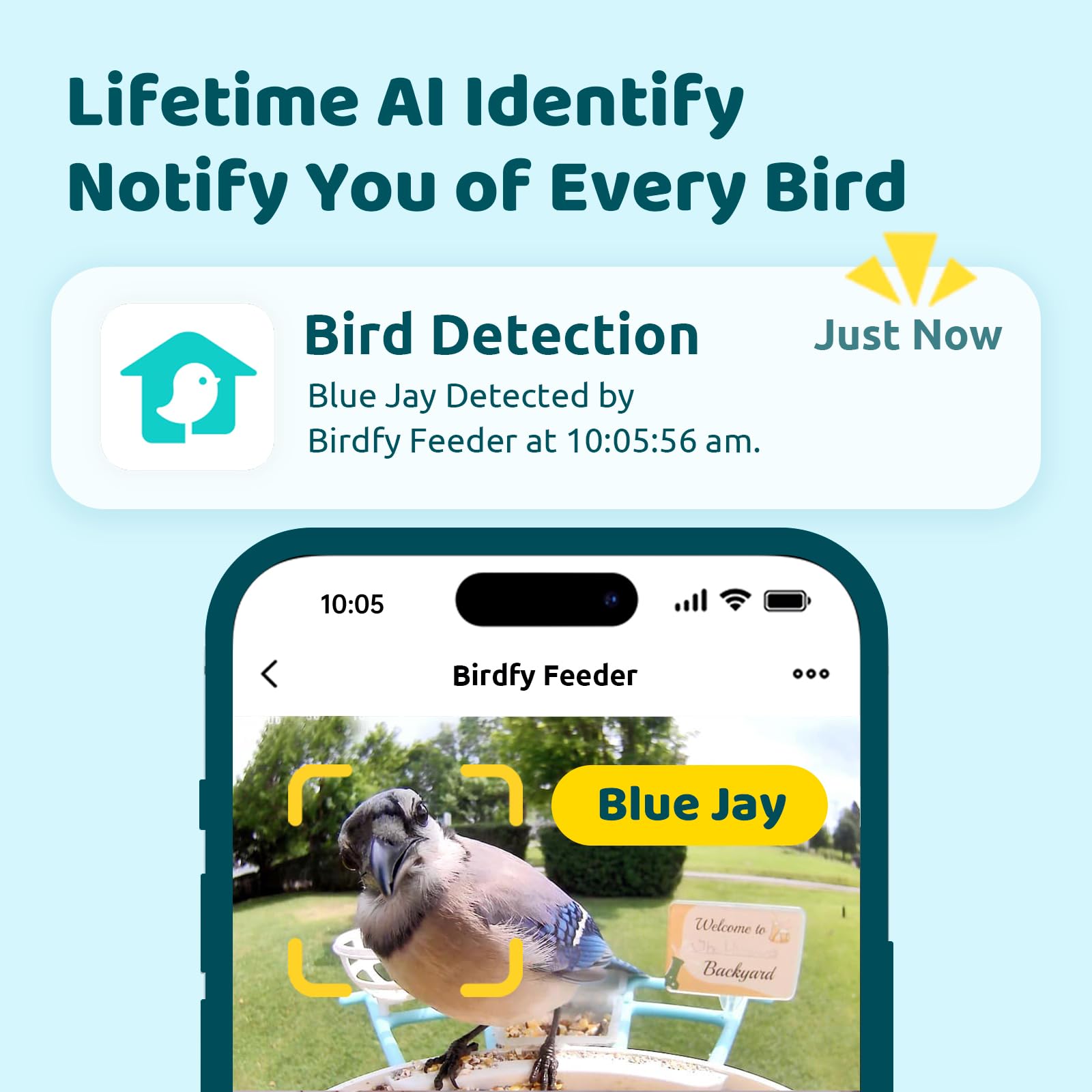 NETVUE Birdfy camera at dusk showing 1080p night vision for evening birdwatching