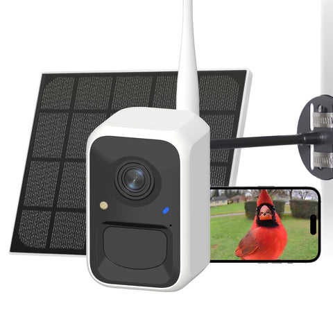 NETVUE Birdfy solar feeder camera captures front view in crisp 1080p