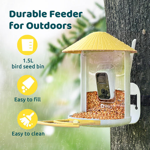 NETVUE Birdfy live stream lets you watch birds in real time.