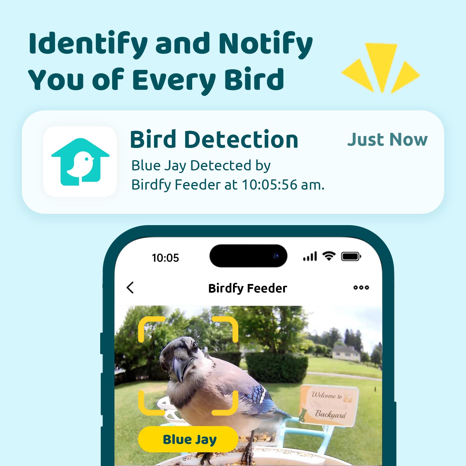 NETVUE Birdfy night vision shows nocturnal visitors clearly.