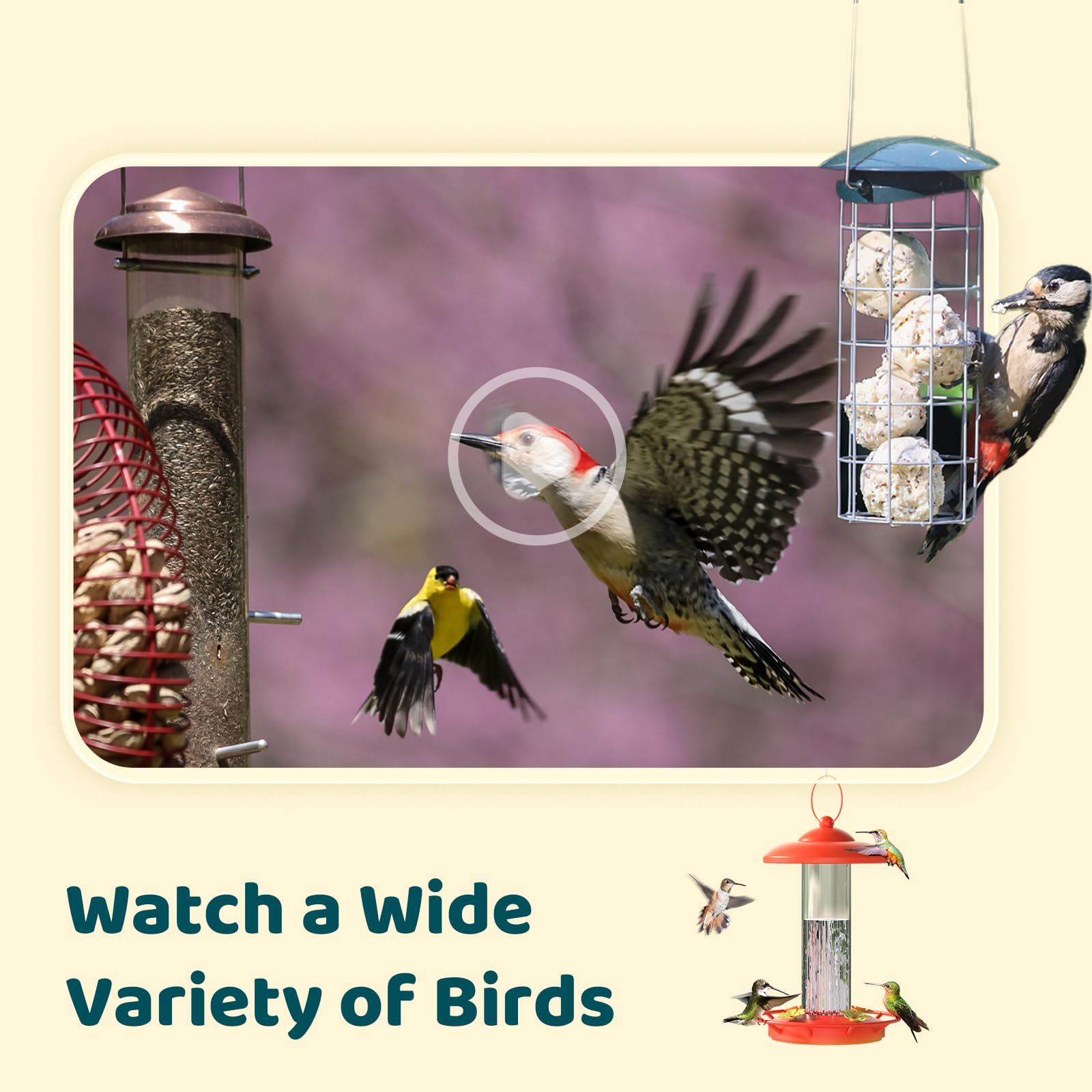 Pole, post, or wall mounting options for NETVUE Birdfy