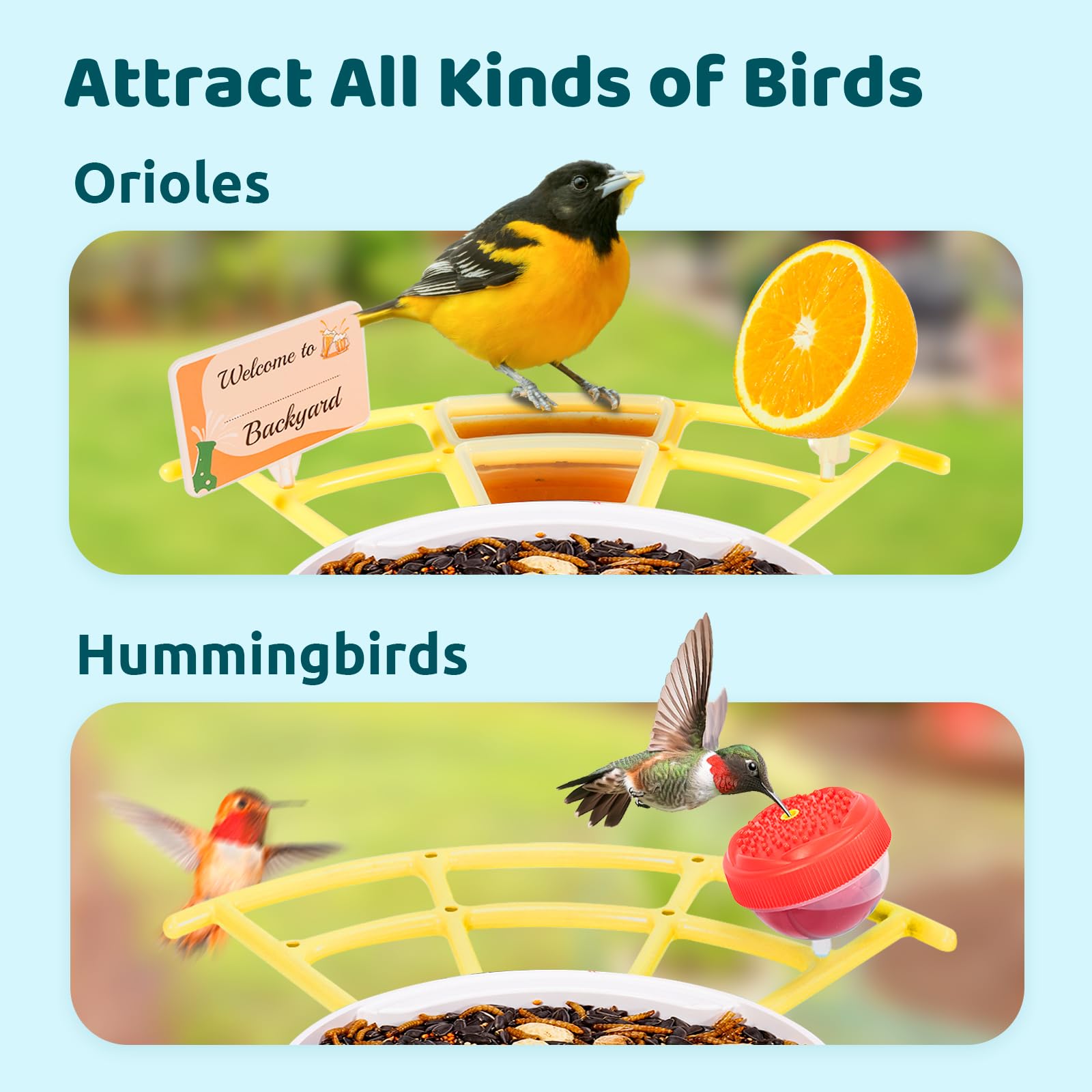 NETVUE Birdfy Pro Perch fruit holder attracts orioles and finches.