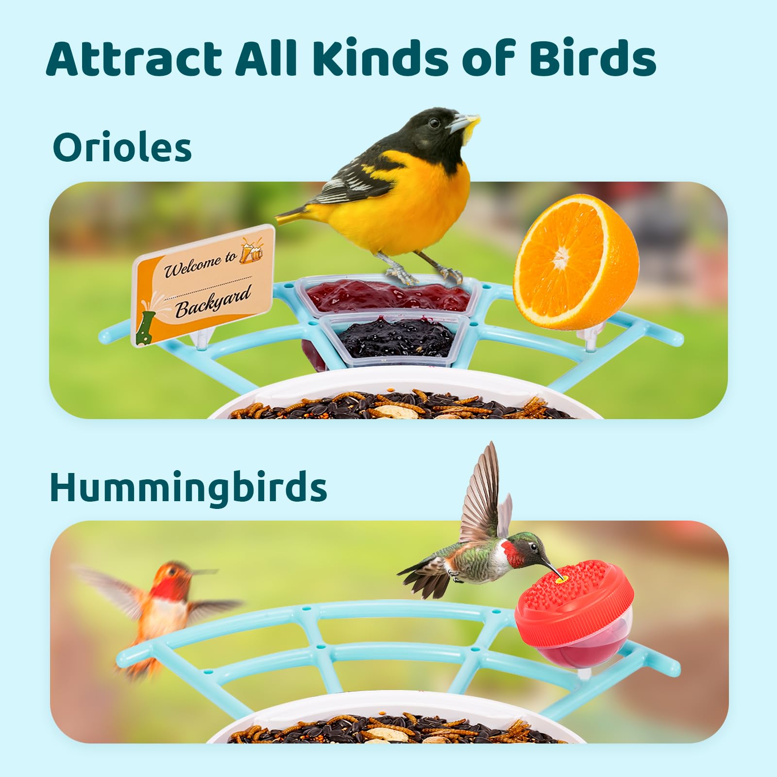 NETVUE Birdfy Pro Perch fruit holder attracts Orioles, Cardinals, and Finches.
