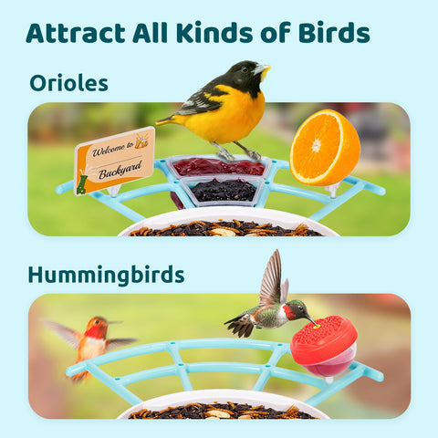 NETVUE Birdfy Pro Perch fruit holder attracts Orioles, Cardinals, and Finches.