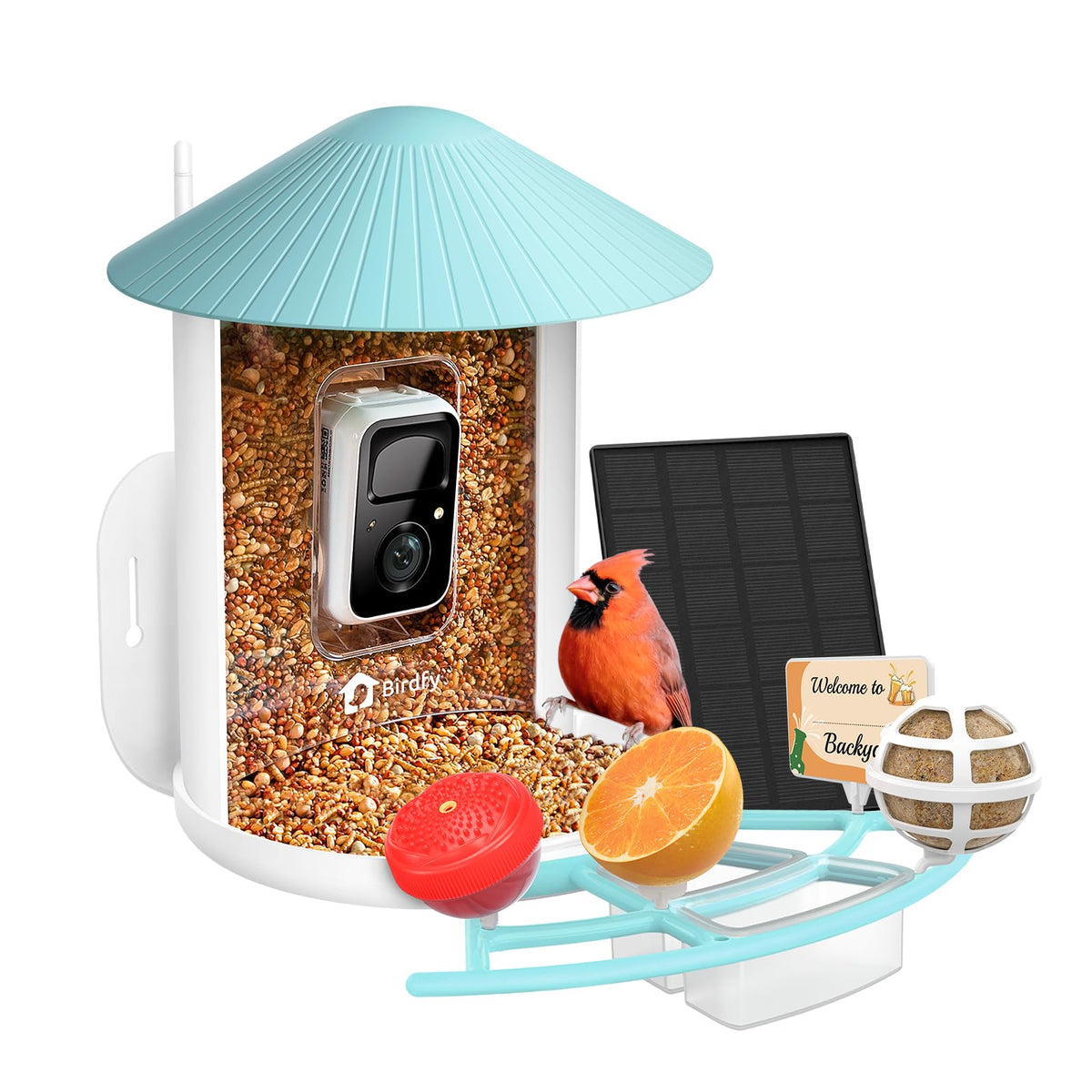 NETVUE Birdfy Pro smart bird feeder camera captures live birds for close-up viewing.