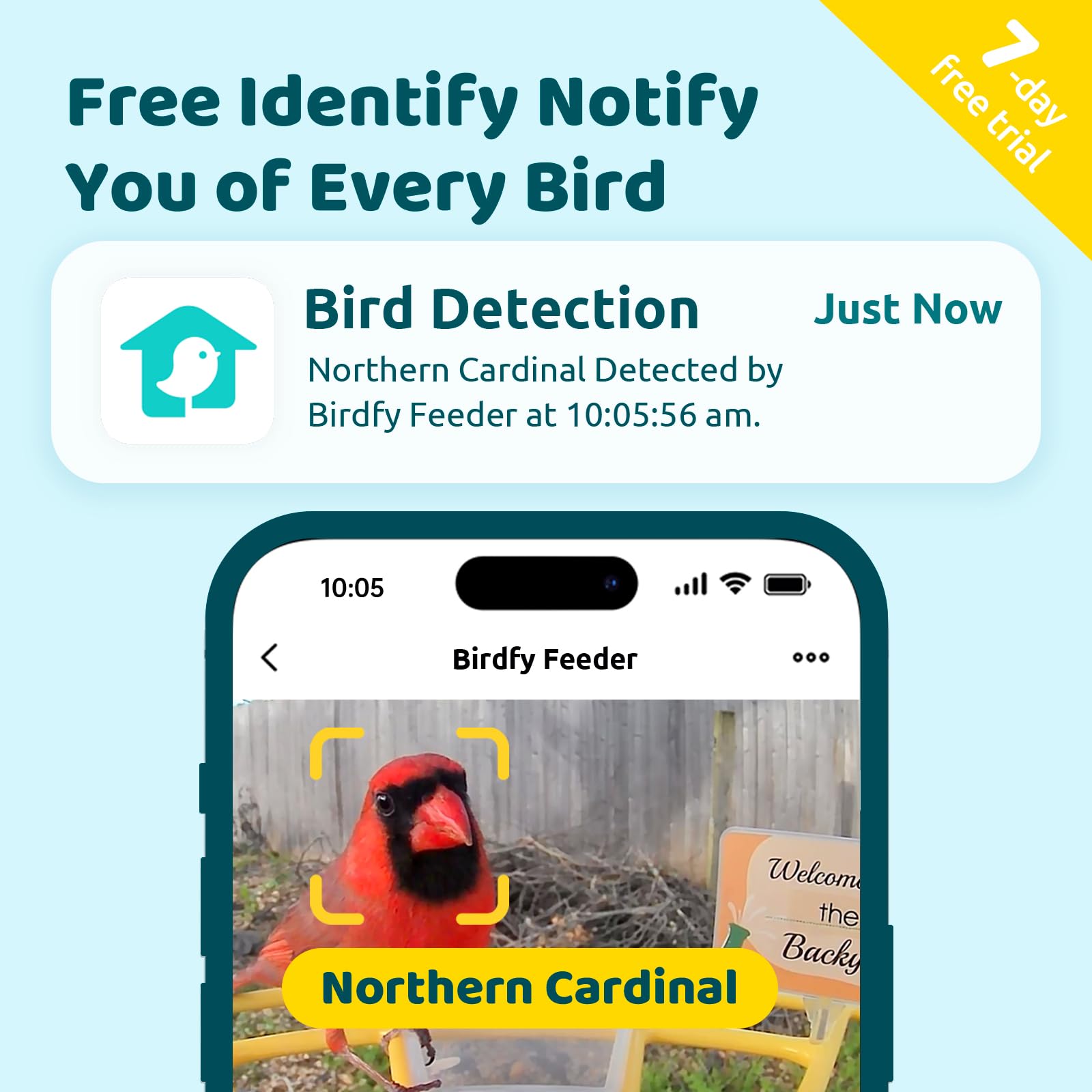 NETVUE Birdfy Pro wifi live stream enables real-time viewing from anywhere.