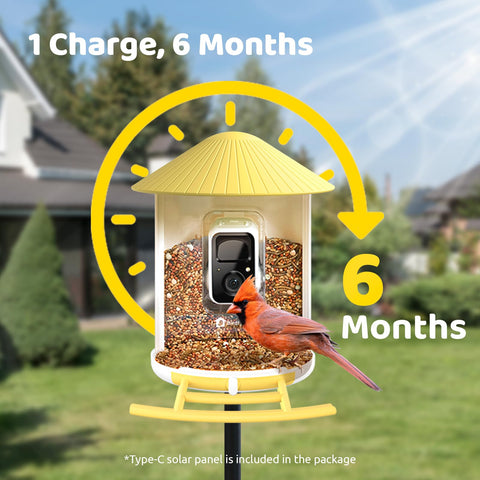 NETVUE Birdfy highlights recap feature saving shareable bird clips