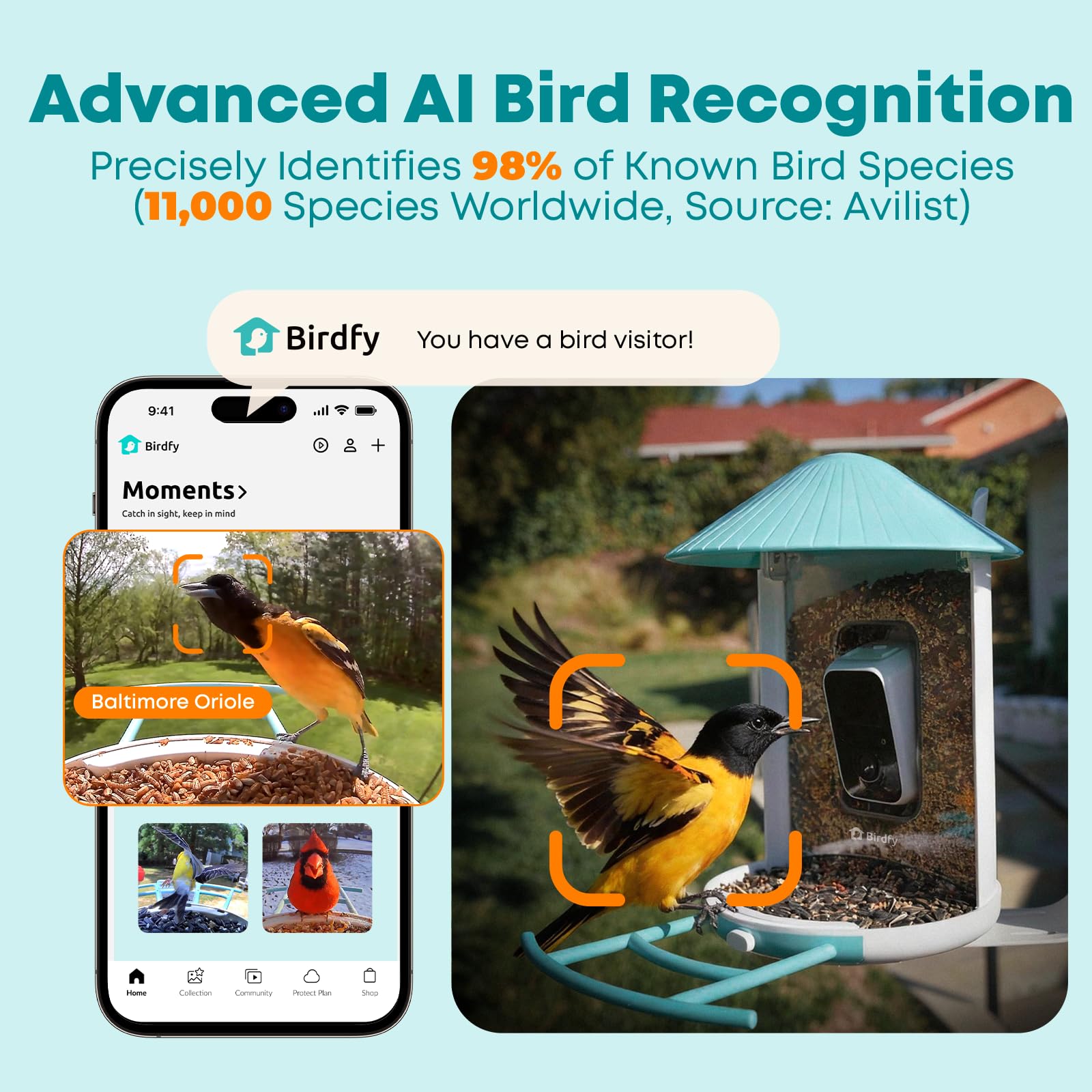 NETVUE by Birdfy side view captures daytime visits for continuous observation.