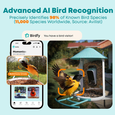NETVUE by Birdfy side view captures daytime visits for continuous observation.