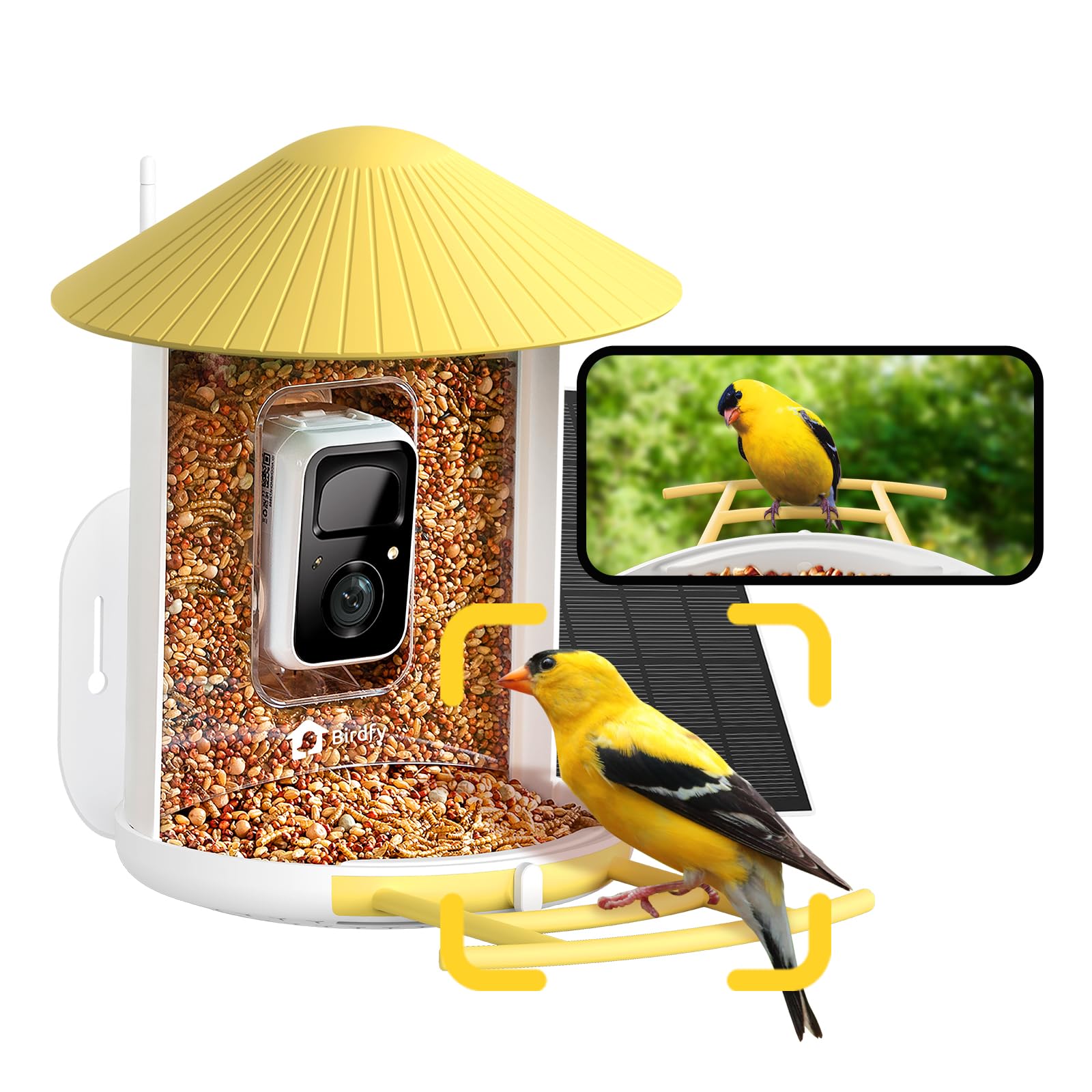 NETVUE Birdfy smart bird feeder front view with yellow housing attracting backyard birds