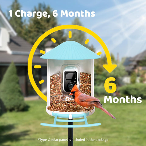 NETVUE Birdfy live video view lets you watch feeding in real time