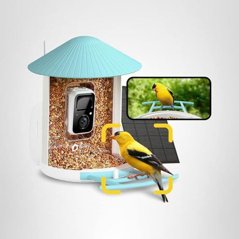 NETVUE Birdfy night vision reveals birds after dusk