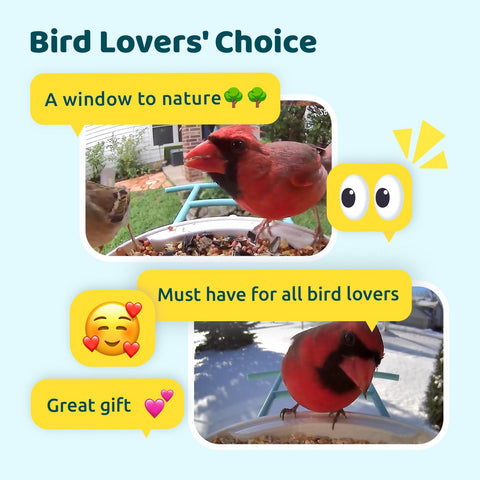 NETVUE Birdfy yellow design adds cheerful focal point to garden
