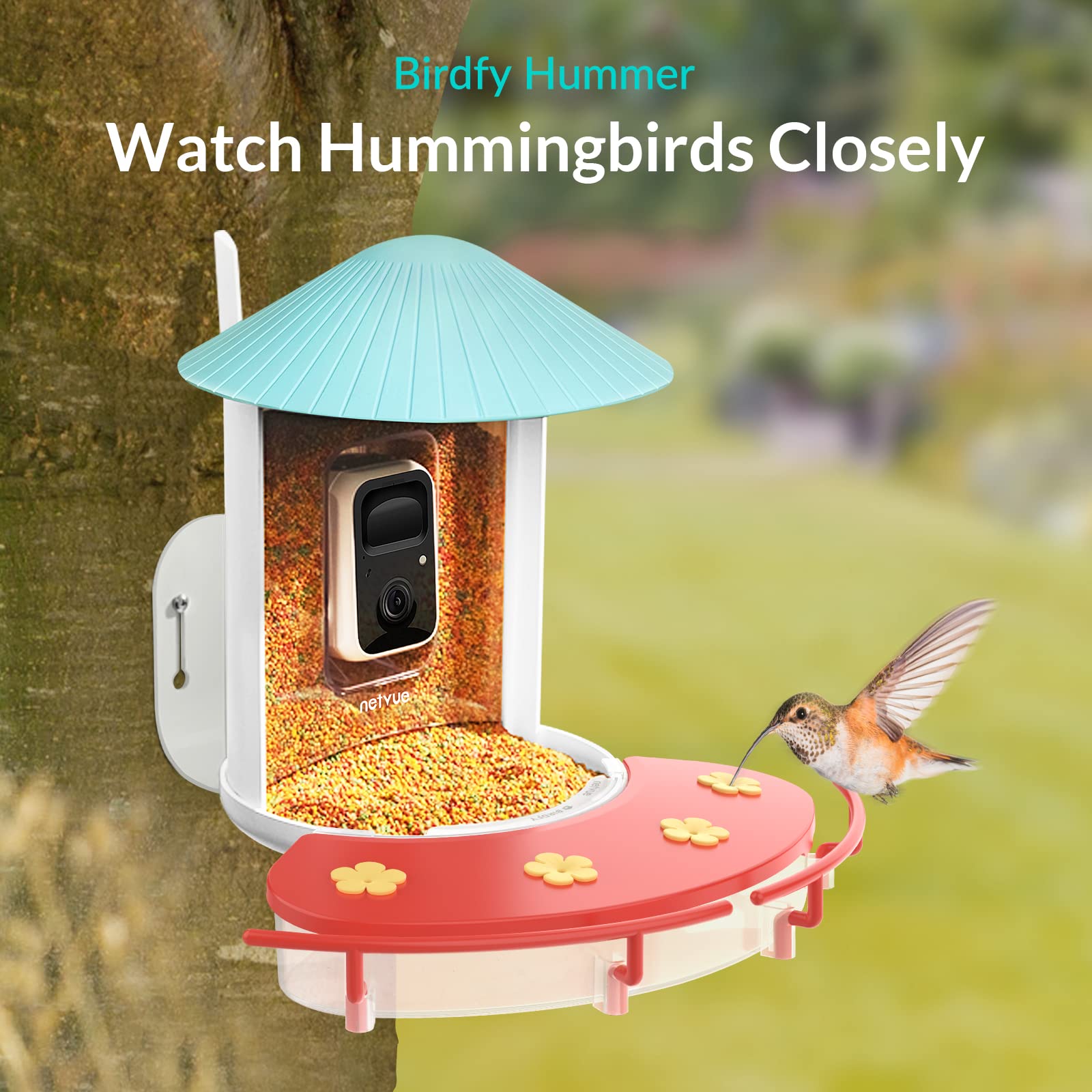 NETVUE hummingbird feeder perch design showing perch and flowers