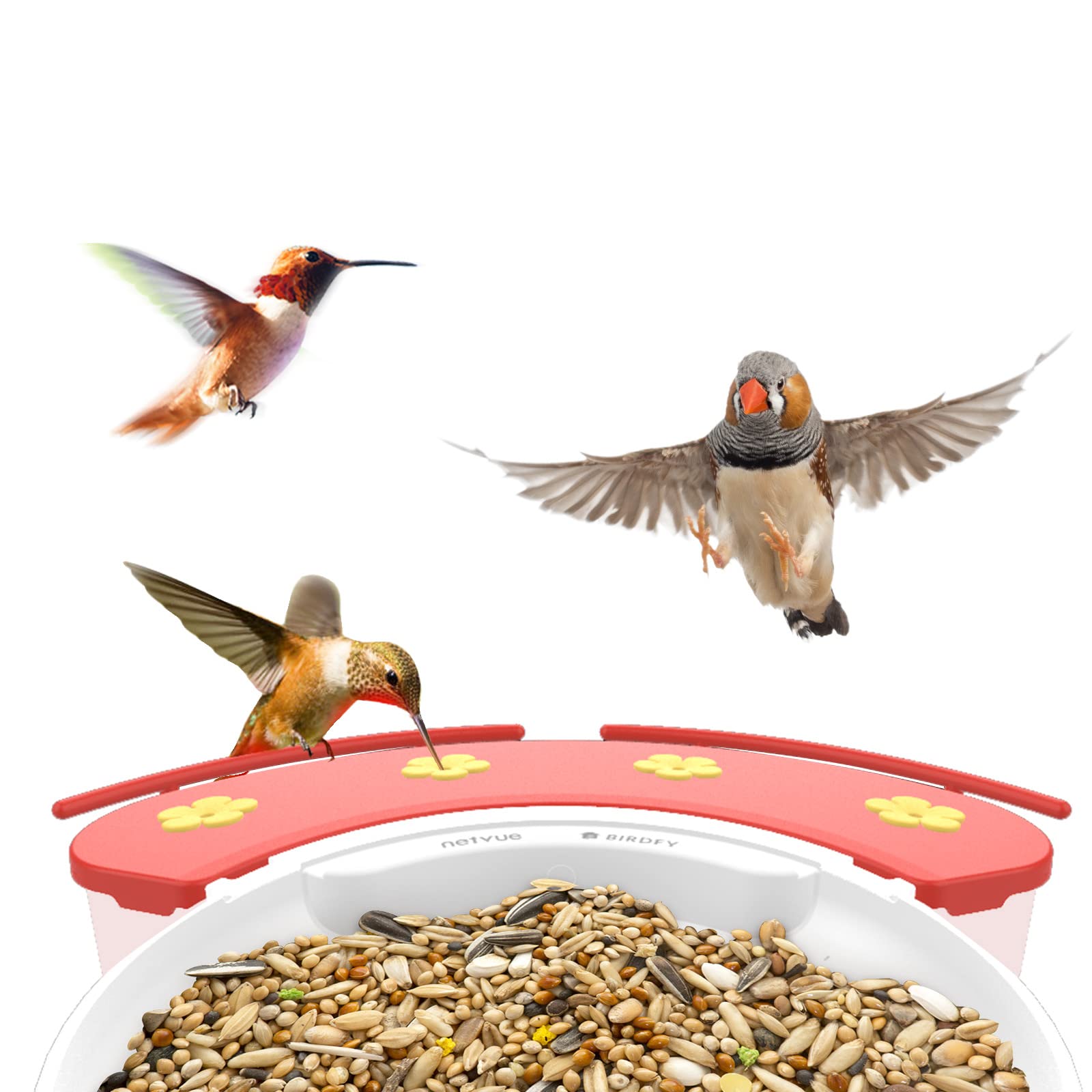 NETVUE feeder easy refill and fast cleaning after use