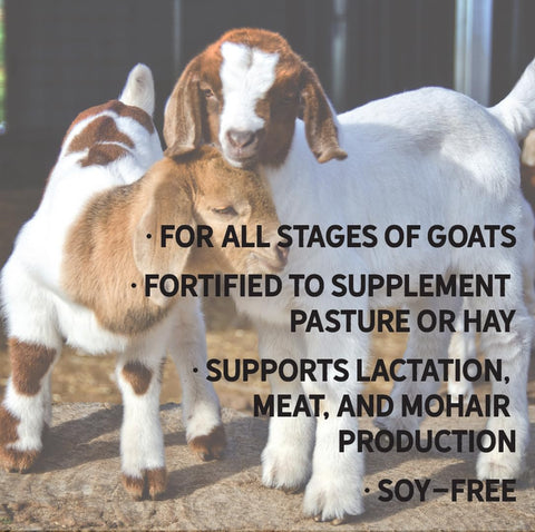 Young kids in a nursery with New Country Organics feed supporting growth.