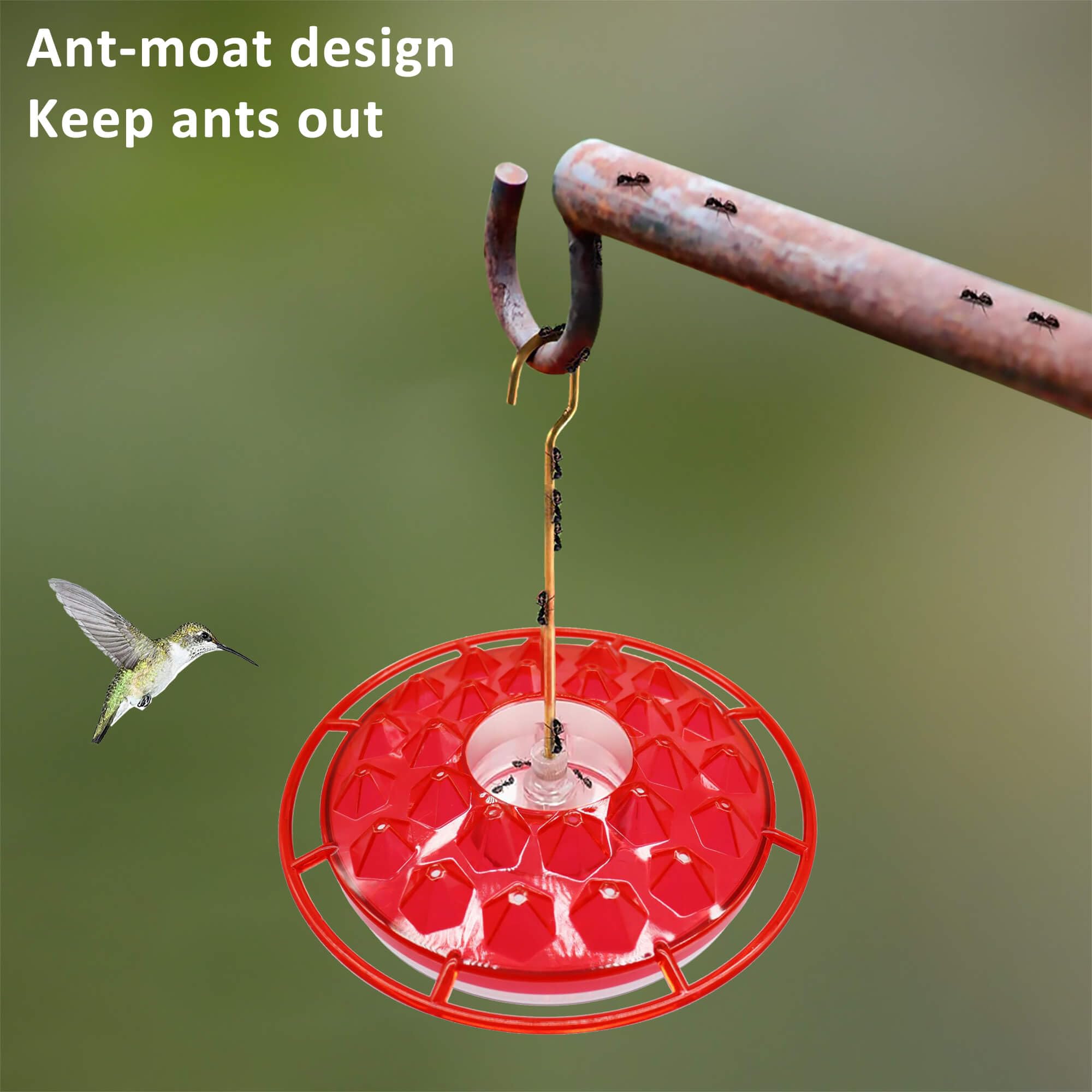 NEWCARLAB hummingbird feeder easy-clean design with removable top