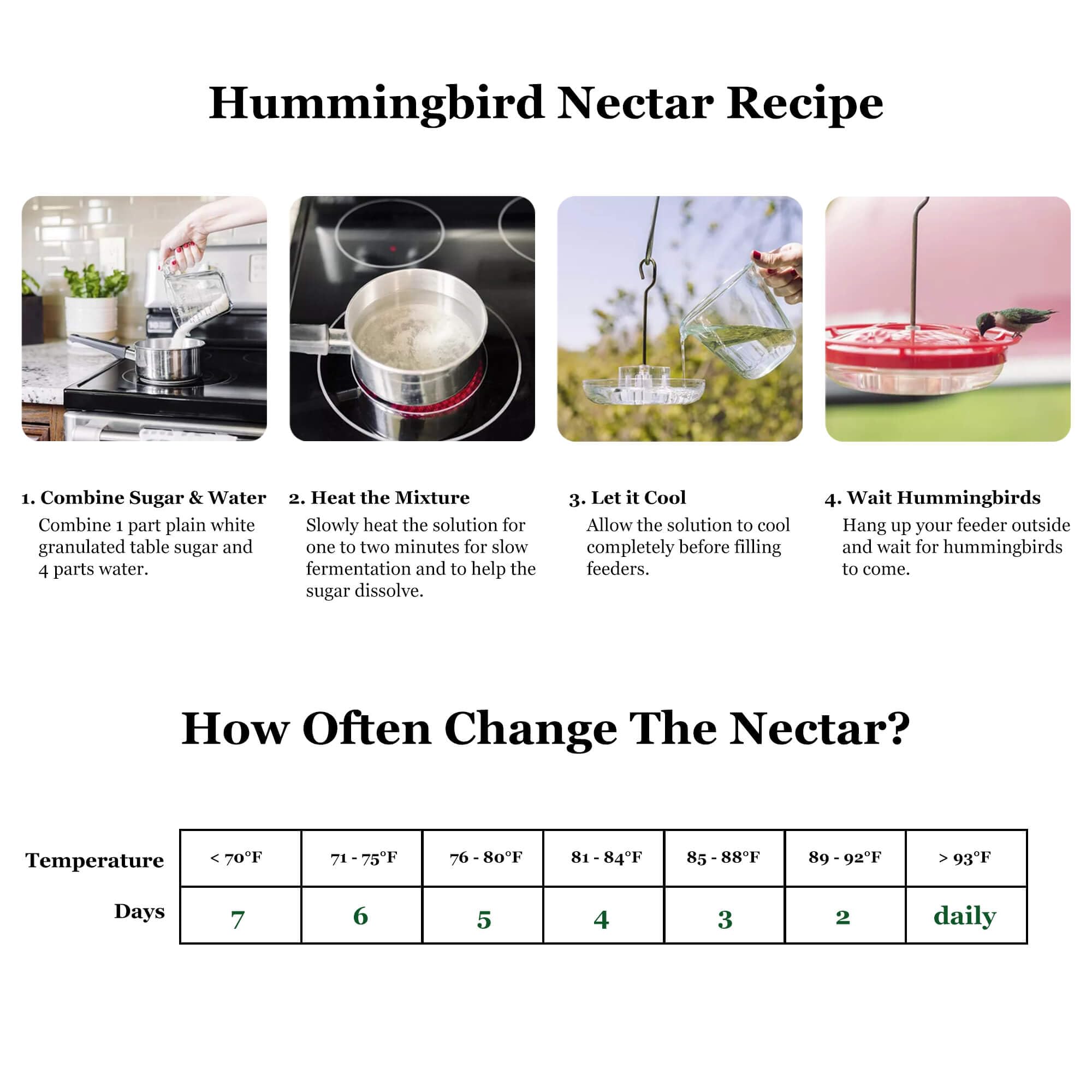 NEWCARLAB hummingbird feeder gift-ready presentation for nature lovers