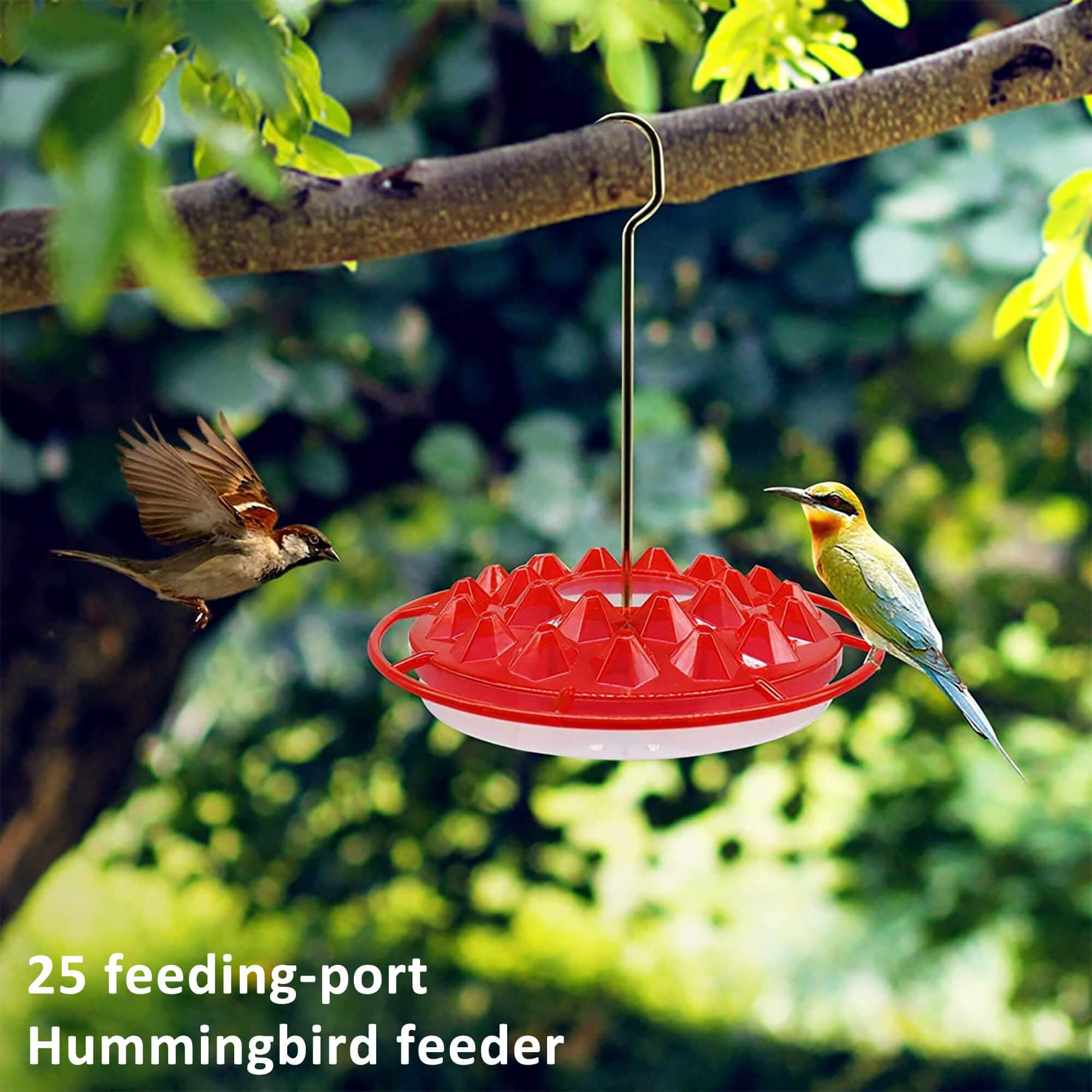 NEWCARLAB hummingbird feeder transparent base to monitor nectar