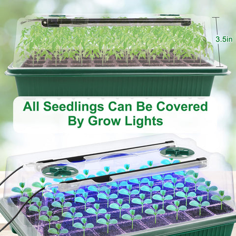 NEWKITS vented lids and humidity control maintain stable seedling environment.
