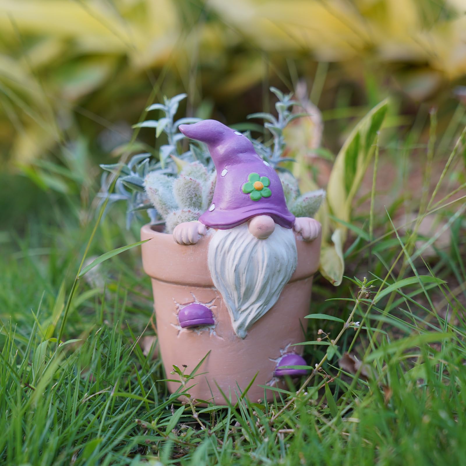 Newman House Studio planter with drainage hole for watering control