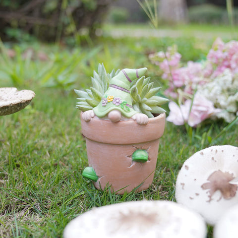 Newman House Studio drainage hole succulent pot for better watering