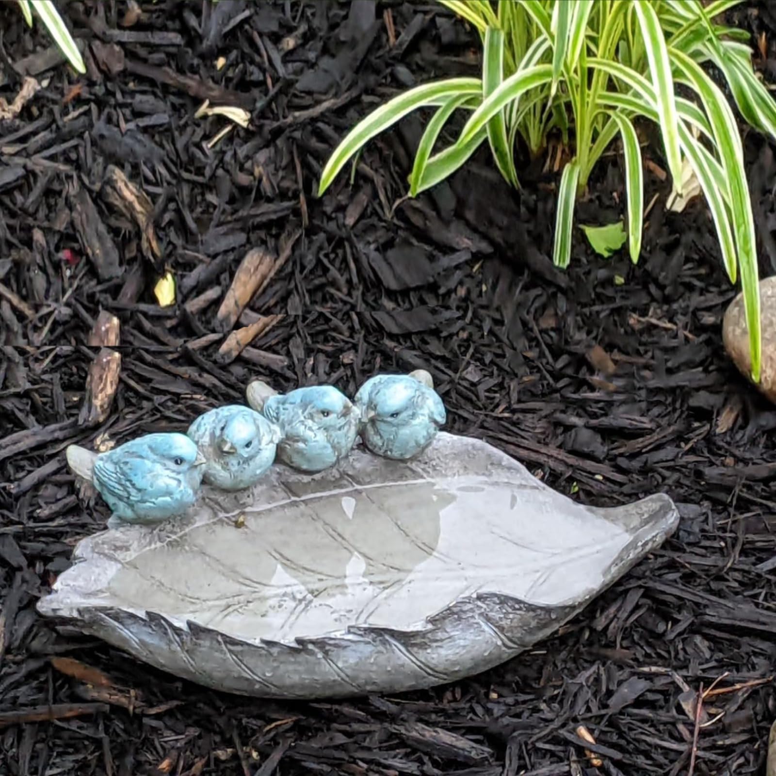 Newman House Studio outdoor bird bath bowl attracts songbirds