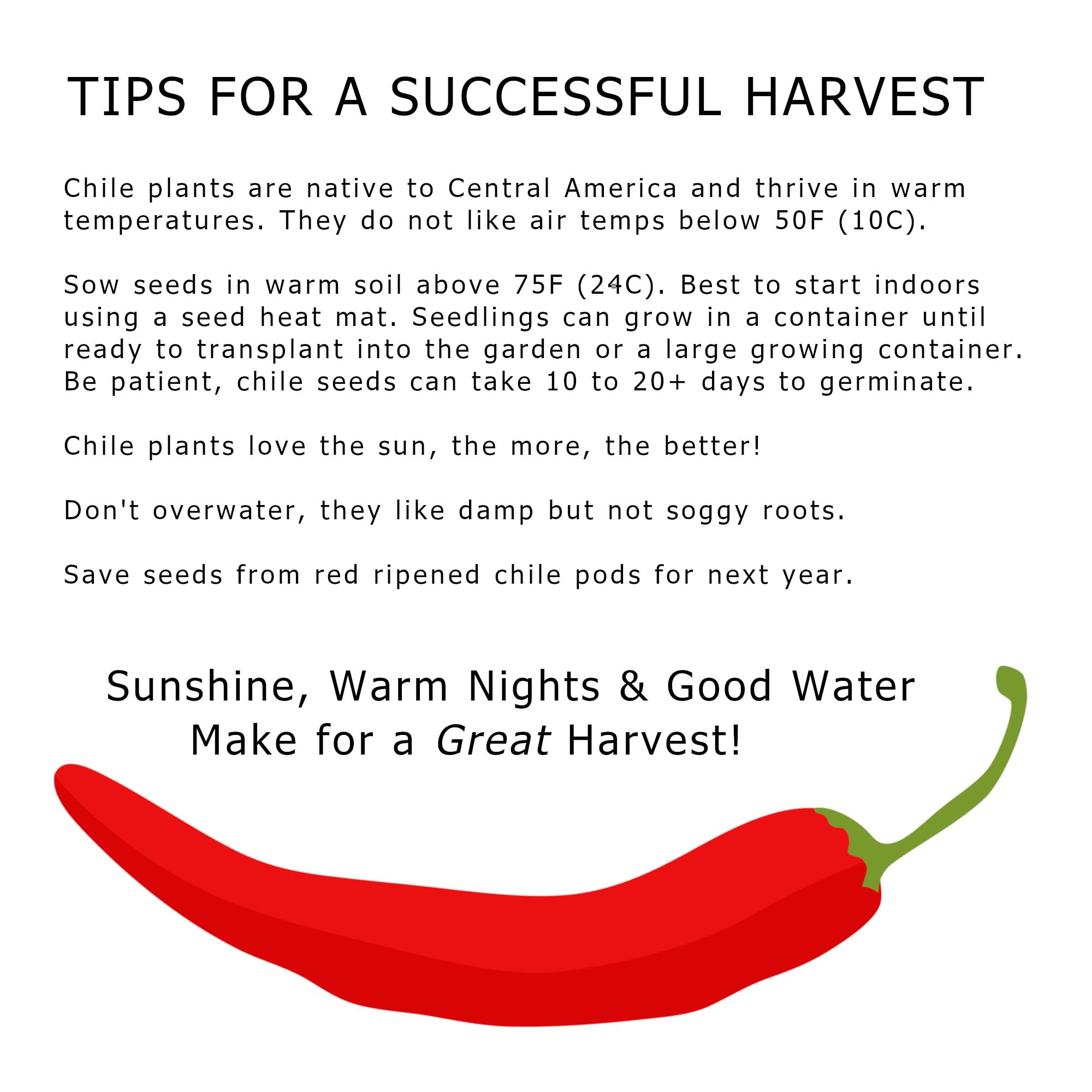 NewMexicoSeed Big Jim chiles green ideal for green chile stew