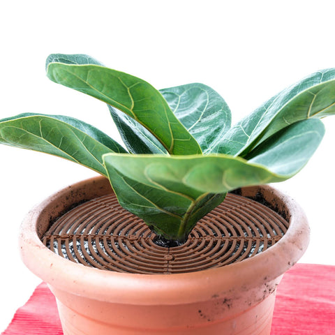 Newtay brown plant-pot grid cover blends with decor