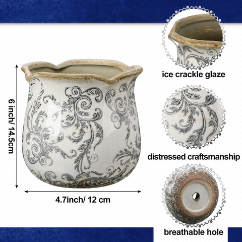 Newtay crackle glaze closeup showing unique ice crack detail in a vintage-inspired pot