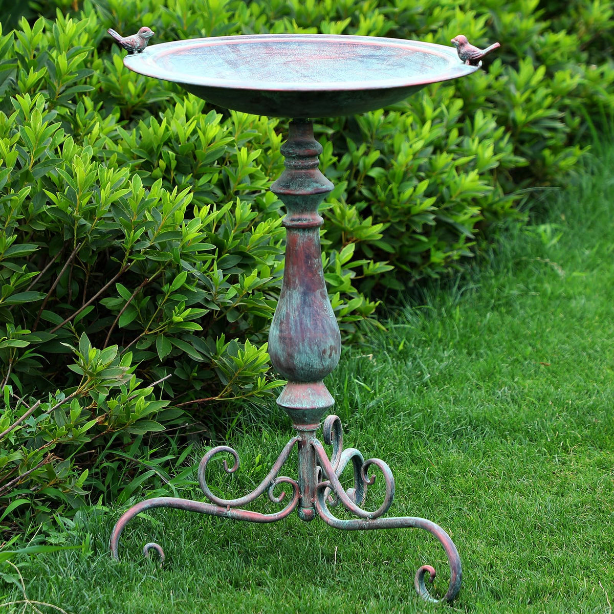 Newtay ornate pedestal birdbath green, elegant garden focal point and weather-ready finish.