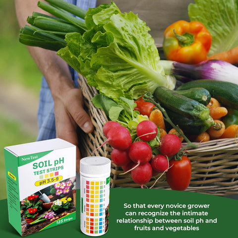 NewTest kit case keeps tools organized for field soil testing