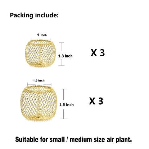 Newwe geometric gold air plant stands for stylish wall or table displays.