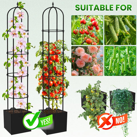 Nexum included plant ties guide growth and training.