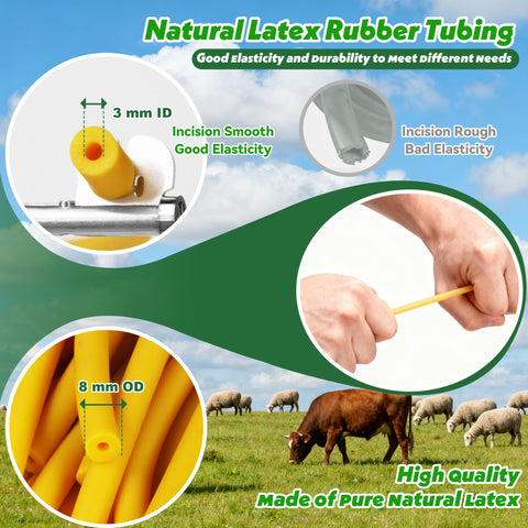 NFie spacers and leather bands ensuring stable positioning during procedures