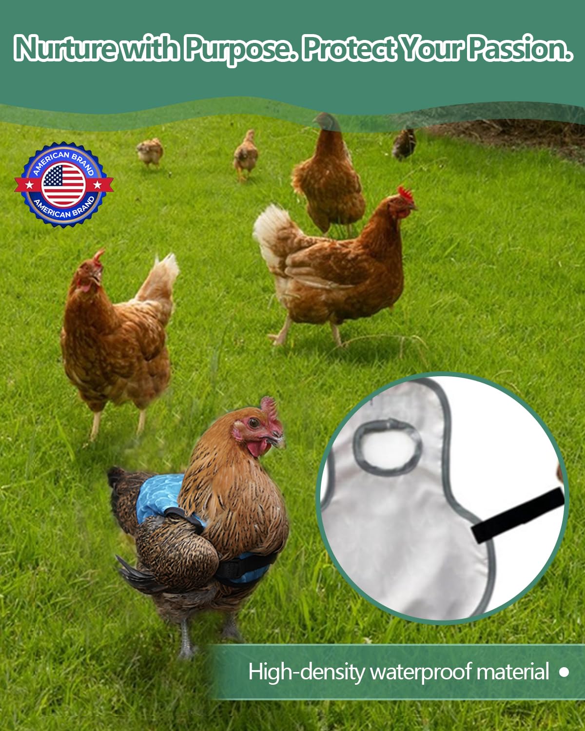 NHWNHW chicken saddle durable lightweight fabric supports natural movement.