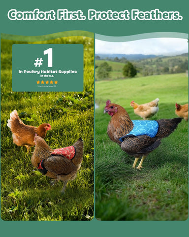 NHWNHW chicken saddle six-color pack adds style and visibility in the coop.