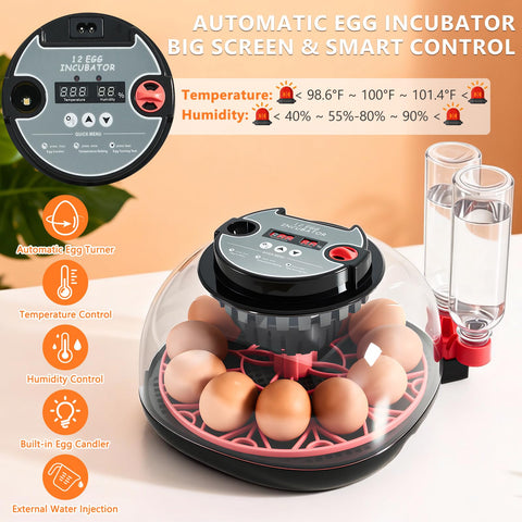 Nigwet incubator 360-degree view provides easy monitoring of egg development.