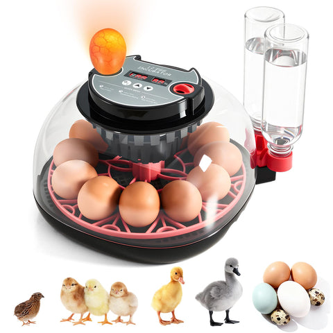 Nigwet 12-egg incubator front view shows compact home farm design for beginners.