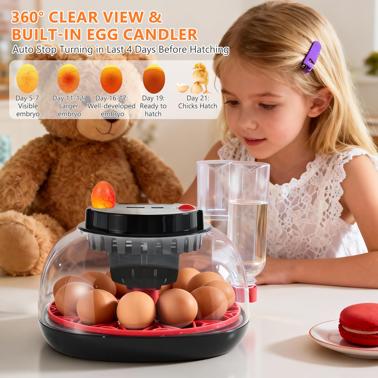 Nigwet easy-clean base design simplifies maintenance after use.