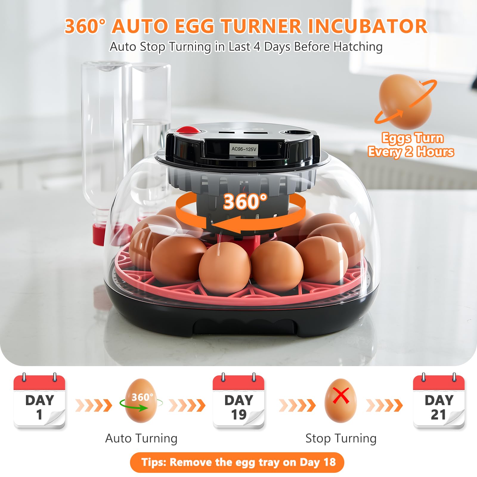 Nigwet 360-degree egg-turner action demonstrates automated turning cycles.
