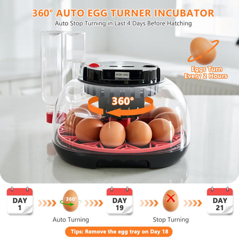 Nigwet 360-degree egg-turner action demonstrates automated turning cycles.