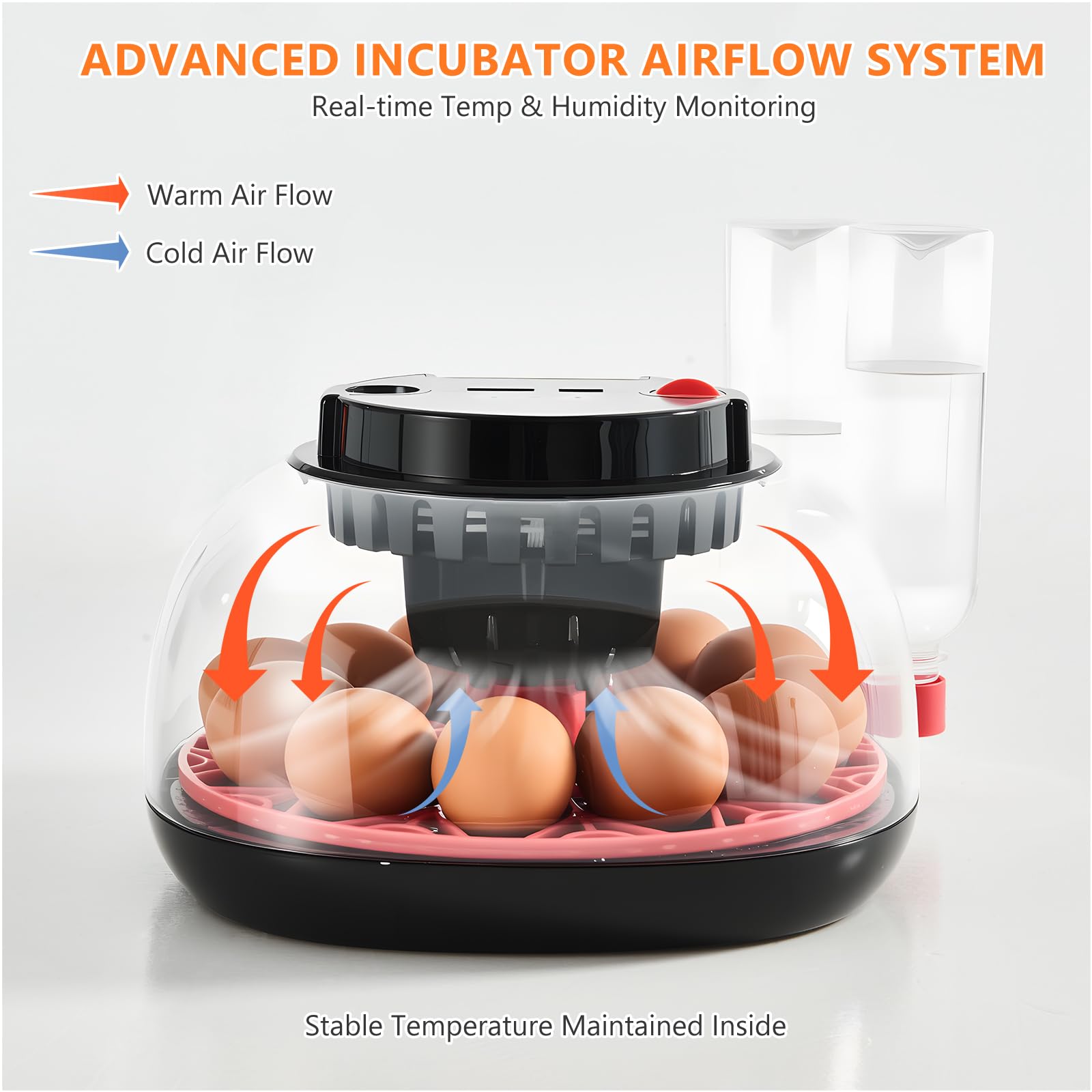 Nigwet transparent lid with candling feature supports embryo checks.