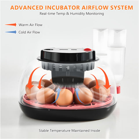 Nigwet transparent lid with candling feature supports embryo checks.