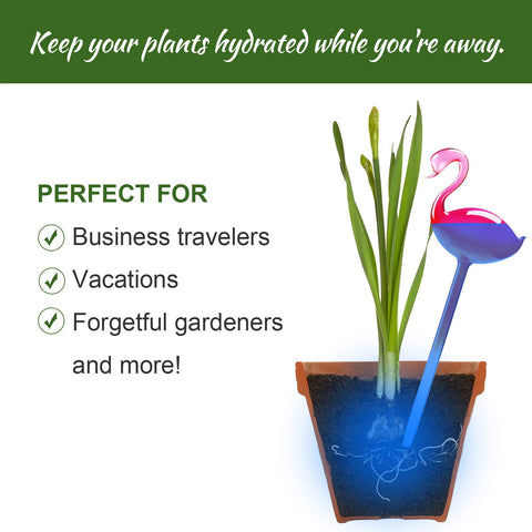 NiHome automatic watering globes deliver hands-free plant hydration without electronics