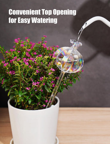 NiHome medium iridescent cactus watering bulb keeps smaller plants evenly moist.